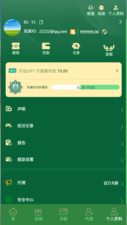 【未测试】多语言多模板PG电子游戏源码